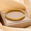 41041 - Pulsera Acero Bangle