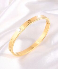 41041-5 Pulsera Transparente Acero Bangle