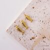 20195 -  Dije pez dorado liso
