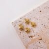 20182 -  Dije estrella de mar marino cristal