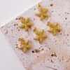 20245 - Dije estrella de mar