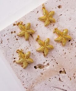 20245 - Dije estrella de mar