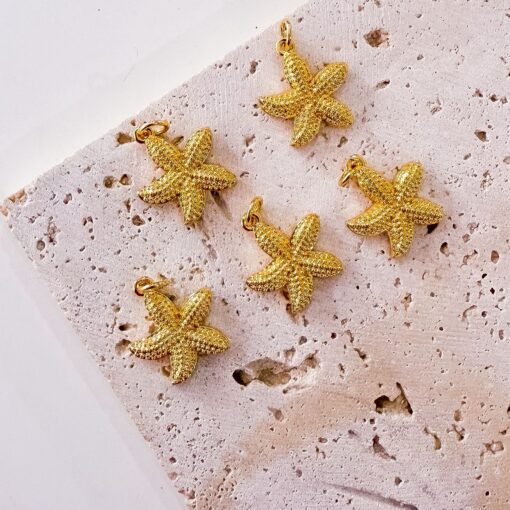 20245 - Dije estrella de mar