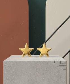 80019 - Zarcillo Acero Estrella lisa