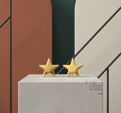 80019 - Zarcillo Acero Estrella lisa
