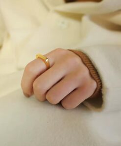 30004 - Anillos Acero liso