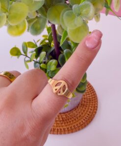 30015 - Anillos Acero dorado paz