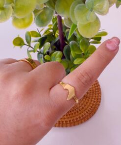 30017 - Anillos Acero dorado corona