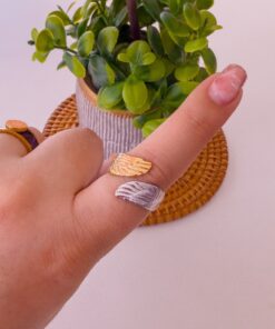 30013 - Anillos Acero alas bicolor