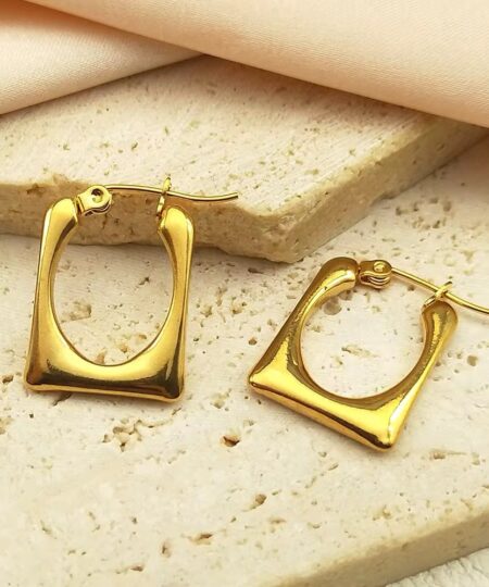 80221 - zarcillos de acero